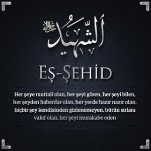 resim_2024-03-21_220943824