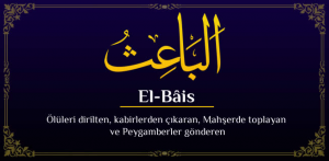 resim_2024-03-28_213619710