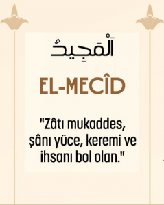 resim_2024-04-10_225952024