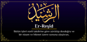 resim_2024-04-12_202828470